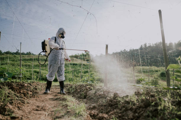 Best Best Pest Control Companies  in Trail Creek, IN