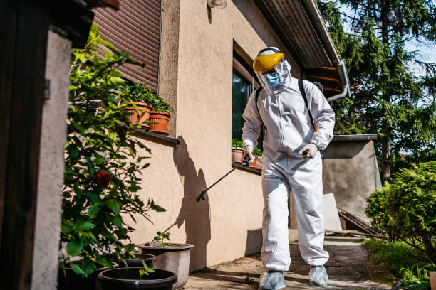 Best Insect Control  in Trail Creek, IN