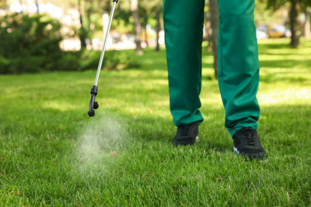 Best Best Pest Control Companies  in Trail Creek, IN