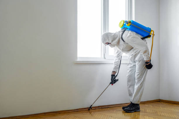 Reliable Trail Creek, IN Pest Control Solutions