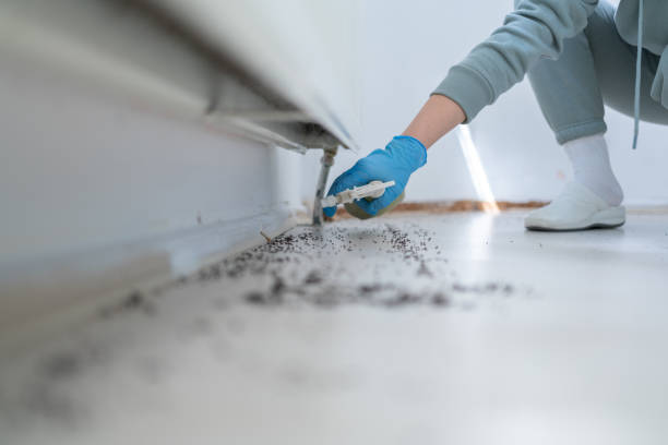 Best Residential Pest Control  in Trail Creek, IN